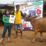 SAPI QURBAN 2018 No Sapi : 15W Kandang 4M