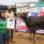 SAPI QURBAN 2018 No Sapi : 17W Kandang 4M