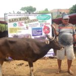 SAPI QURBAN 2018 No Sapi : 26W1 Kandang 4M