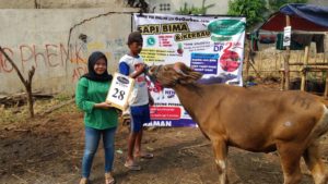 SAPI QURBAN 2018 Kandang M No Sapi : 28