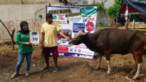 SAPI QURBAN 2018 Kandang M No Sapi : 39