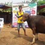 SAPI QURBAN 2018 No Sapi : 6W Kandang 4M