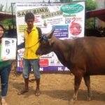 SAPI QURBAN 2018 No Sapi : 9W Kandang 4M