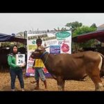 PI QURBAN 2018 No Sapi : 26W2 Kandang 2M