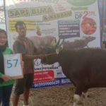 SAPI QURBAN 2019 No Sapi : 57