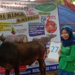 SAPI QURBAN 2019 No Sapi : 27