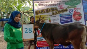 SAPI QURBAN 2019 No Sapi : 28