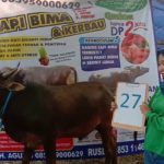 SAPI QURBAN 2019 No Sapi : 27