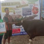 SAPI QURBAN 2019 No Sapi : 57