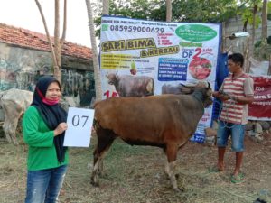 SAPI QURBAN 2020 No: 7