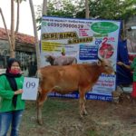 SAPI QURBAN 2020 No: 9