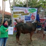 SAPI QURBAN 2020 No: 10