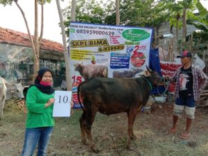 SAPI QURBAN 2020 No: 10