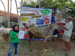 SAPI QURBAN 2020 No: 11