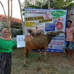 SAPI QURBAN 2020 No: 15