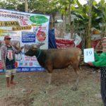 SAPI QURBAN 2020 No: 19