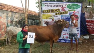 SAPI QURBAN 2020 No:2