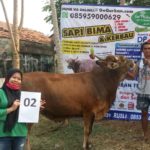 SAPI QURBAN 2020 No: 4