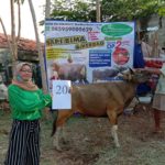 SAPI QURBAN 2020 No: 20