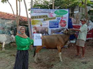 SAPI QURBAN 2020 No: 20