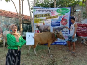 SAPI QURBAN 2020 No Sapi :25