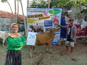 SAPI QURBAN 2020 No Sapi :26