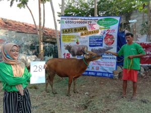 SAPI QURBAN 2020 No Sapi : 28