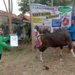 SAPI QURBAN 2020 No Sapi : 42