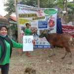 SAPI QURBAN 2020 No Sapi : 36