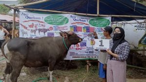 SAPI QURBAN JAKARTA 2022 No:01