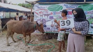 SAPI QURBAN JAKARTA 2022 No:39