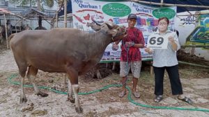 SAPI QURBAN JAKARTA 2022 No:69